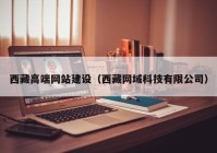 西藏高端网站建设（西藏网域科技有限公司）