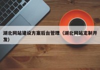 湖北网站建设方案后台管理（湖北网站定制开发）